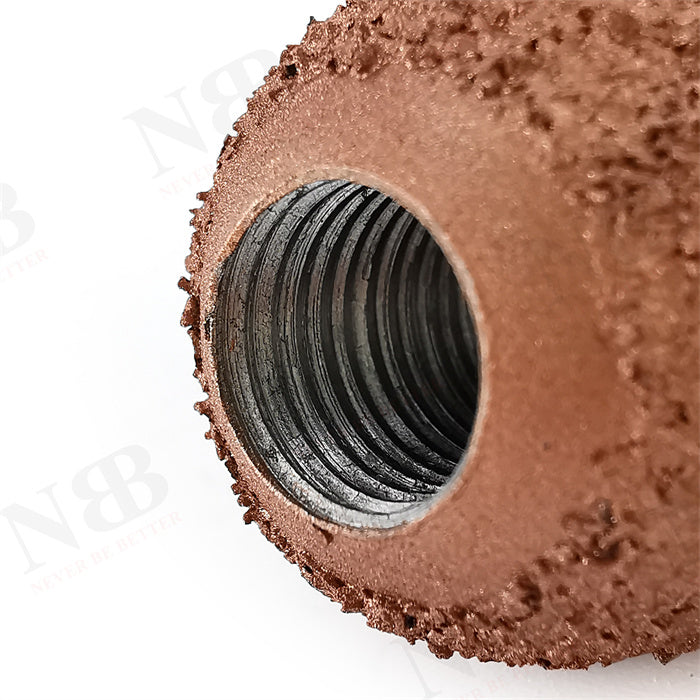 NBBCS008